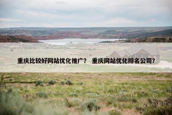 重庆比较好网站优化推广？ 重庆网站优化排名公司？