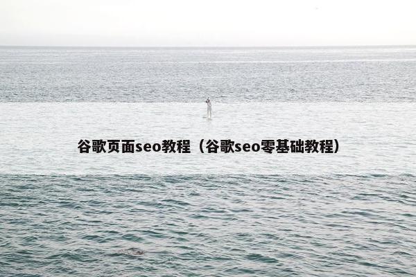 谷歌页面seo教程（谷歌seo零基础教程）