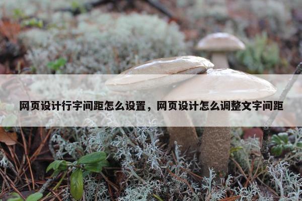 网页设计行字间距怎么设置，网页设计怎么调整文字间距