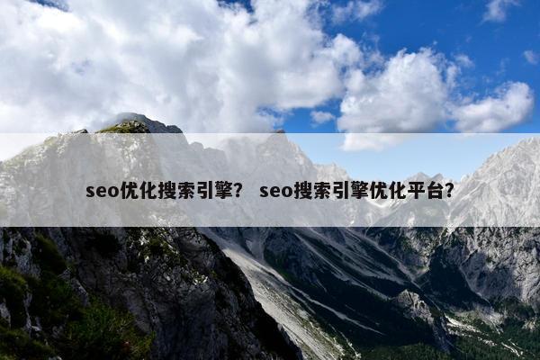 seo优化搜索引擎？ seo搜索引擎优化平台？