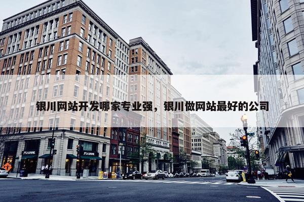 银川网站开发哪家专业强，银川做网站最好的公司