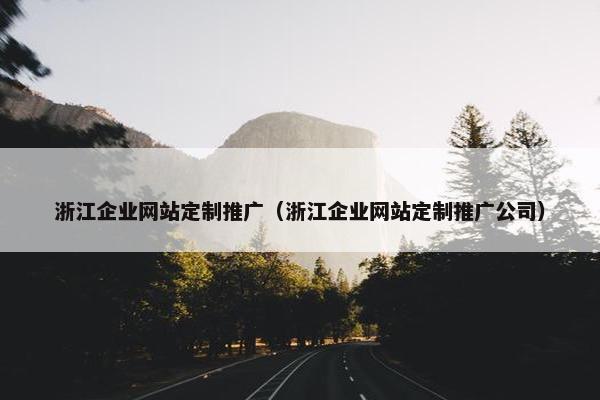 浙江企业网站定制推广（浙江企业网站定制推广公司）