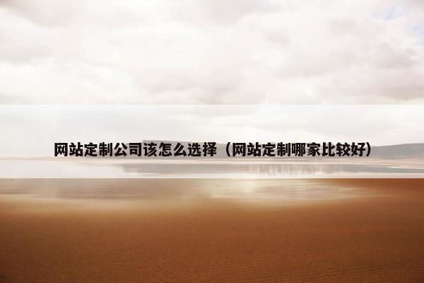 网站定制公司该怎么选择（网站定制哪家比较好）