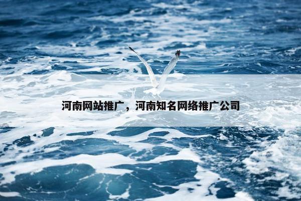河南网站推广，河南知名网络推广公司