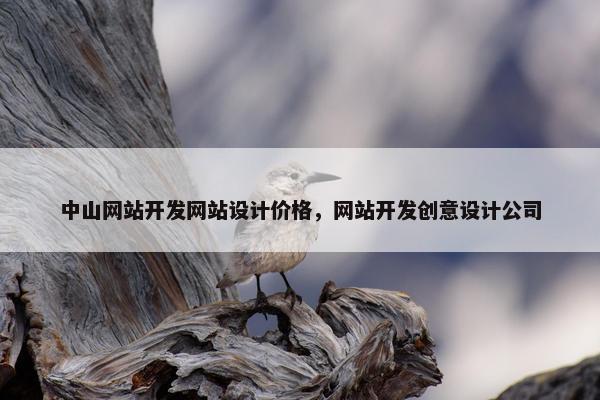 中山网站开发网站设计价格，网站开发创意设计公司