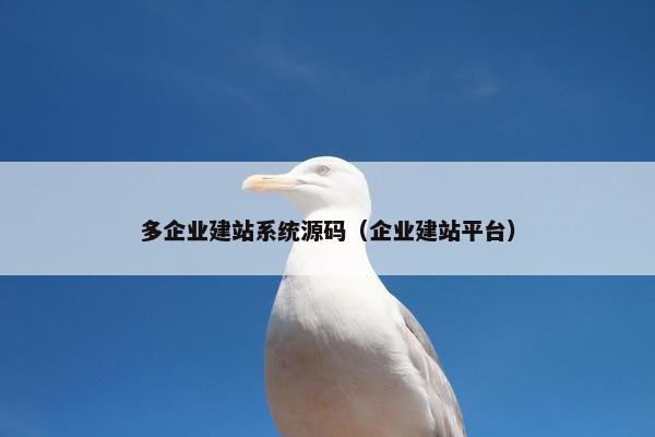 多企业建站系统源码（企业建站平台）