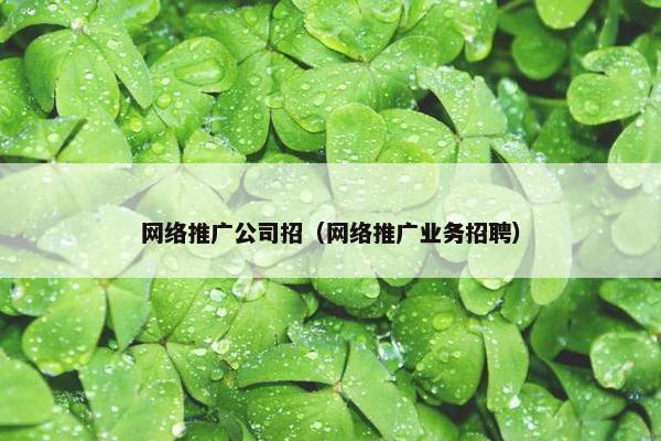 网络推广公司招（网络推广业务招聘）