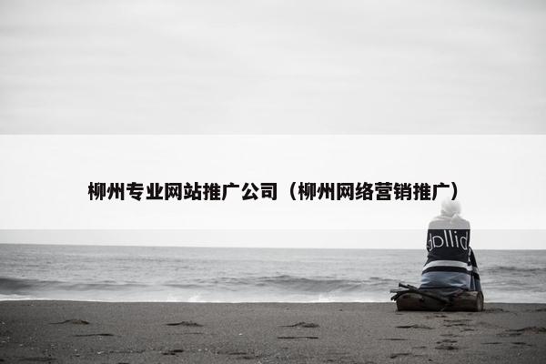 柳州专业网站推广公司（柳州网络营销推广）