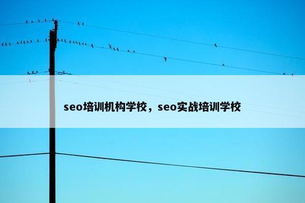 seo培训机构学校，seo实战培训学校