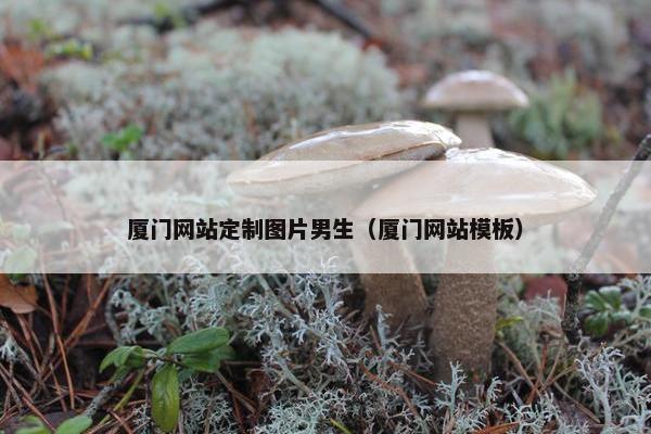 厦门网站定制图片男生（厦门网站模板）