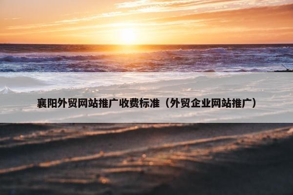 襄阳外贸网站推广收费标准（外贸企业网站推广）