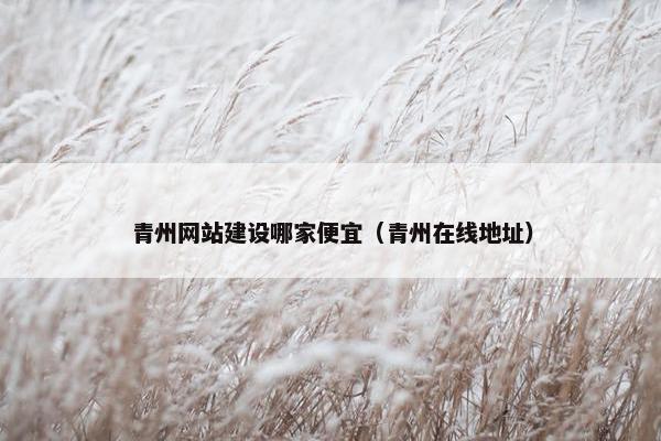 青州网站建设哪家便宜（青州在线地址）