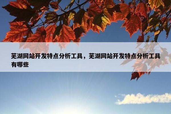 芜湖网站开发特点分析工具，芜湖网站开发特点分析工具有哪些