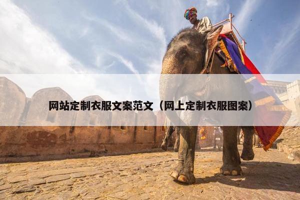 网站定制衣服文案范文（网上定制衣服图案）