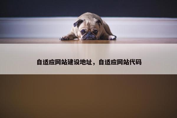 自适应网站建设地址，自适应网站代码