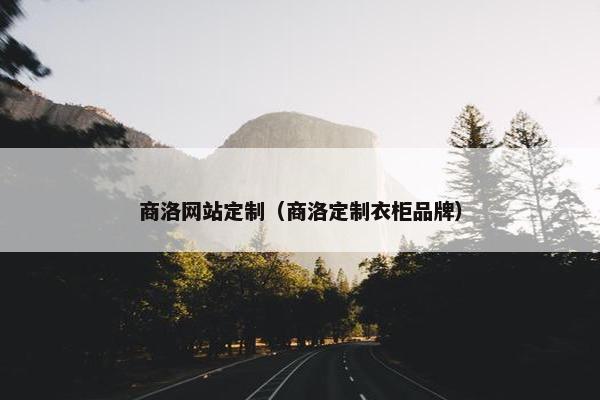 商洛网站定制（商洛定制衣柜品牌）