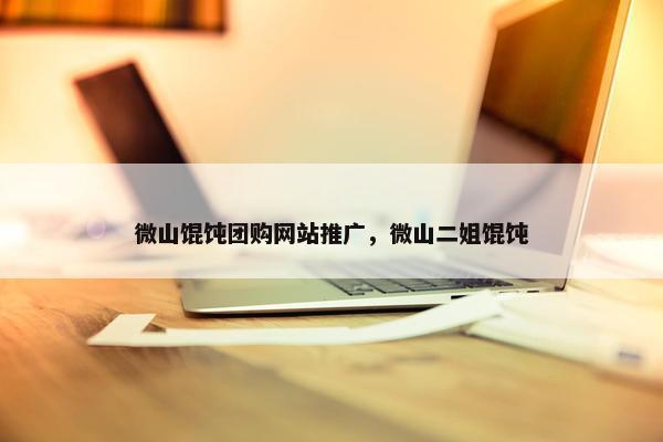 微山馄饨团购网站推广，微山二姐馄饨