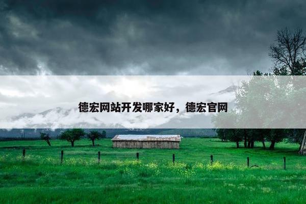 德宏网站开发哪家好，德宏官网