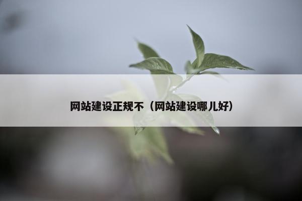 网站建设正规不（网站建设哪儿好）