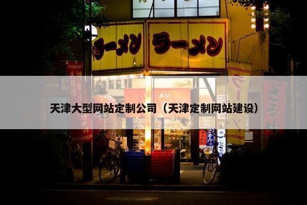 天津大型网站定制公司（天津定制网站建设）