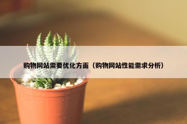 购物网站需要优化方面（购物网站性能需求分析）