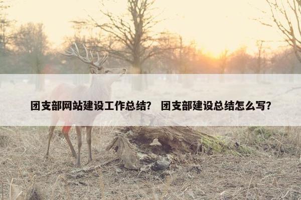 团支部网站建设工作总结？ 团支部建设总结怎么写？