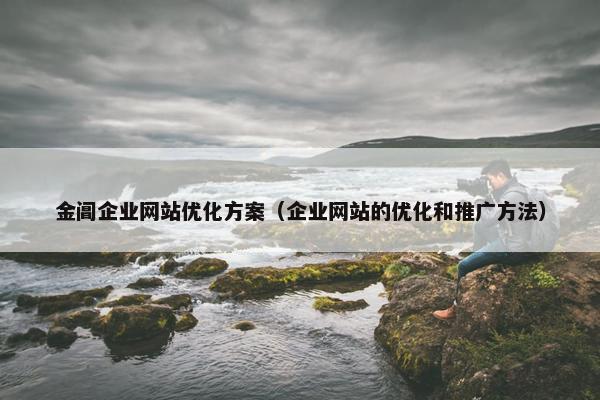 金阊企业网站优化方案（企业网站的优化和推广方法）