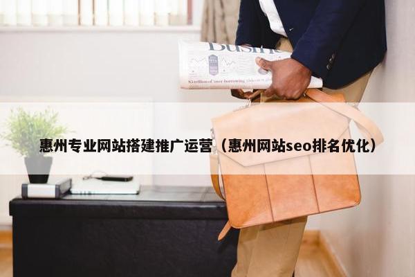 惠州专业网站搭建推广运营（惠州网站seo排名优化）