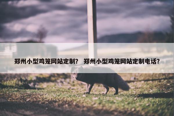 郑州小型鸡笼网站定制？ 郑州小型鸡笼网站定制电话？