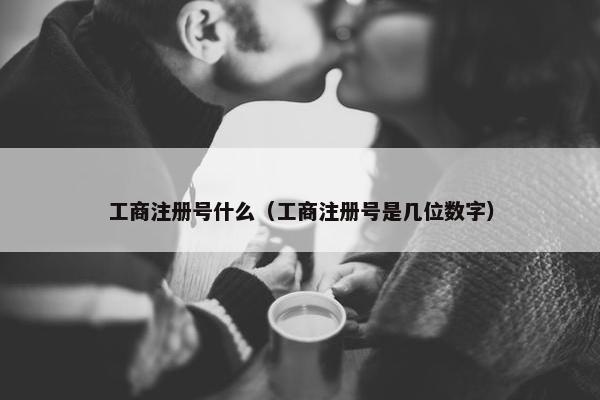 工商注册号什么（工商注册号是几位数字）