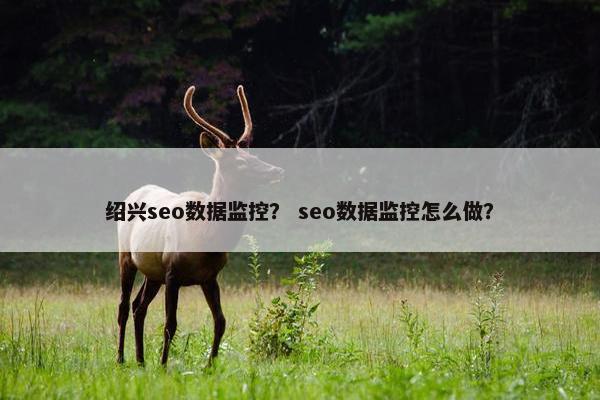 绍兴seo数据监控？ seo数据监控怎么做？