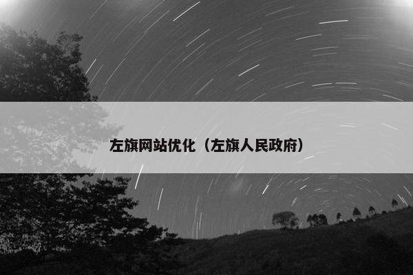 左旗网站优化（左旗人民政府）