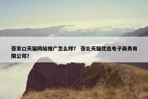 张家口天猫网站推广怎么样？ 张北天猫优选电子商务有限公司？