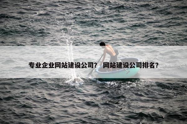 专业企业网站建设公司？ 网站建设公司排名？