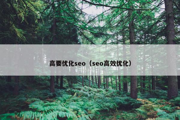 高要优化seo（seo高效优化）