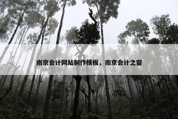 南京会计网站制作模板，南京会计之窗