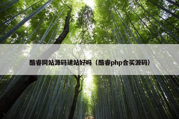 酷睿网站源码建站好吗（酷睿php合买源码）