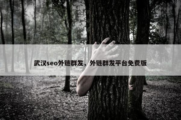 武汉seo外链群发，外链群发平台免费版