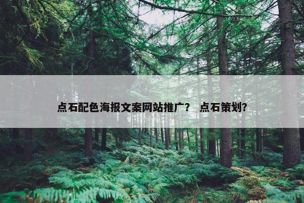 点石配色海报文案网站推广？ 点石策划？