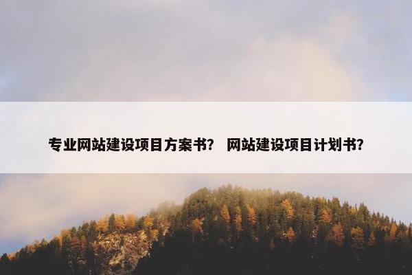 专业网站建设项目方案书？ 网站建设项目计划书？