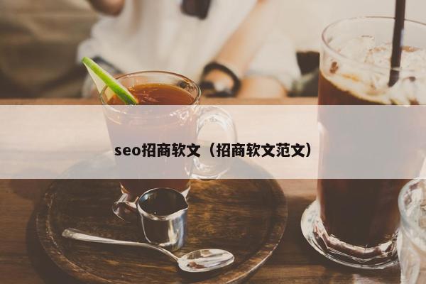 seo招商软文（招商软文范文）