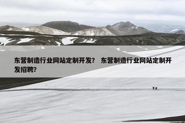 东营制造行业网站定制开发？ 东营制造行业网站定制开发招聘？
