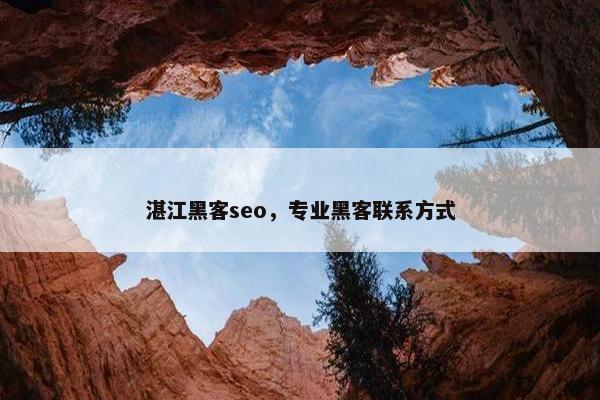 湛江黑客seo，专业黑客联系方式