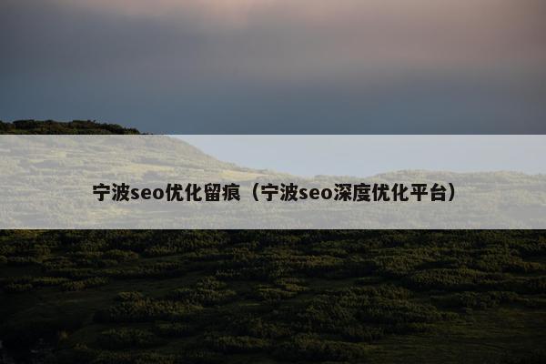 宁波seo优化留痕（宁波seo深度优化平台）
