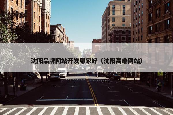 沈阳品牌网站开发哪家好（沈阳高端网站）