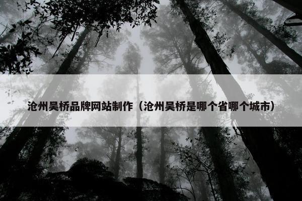 沧州吴桥品牌网站制作（沧州吴桥是哪个省哪个城市）