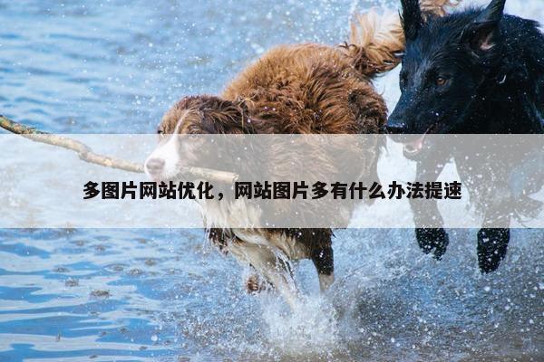 多图片网站优化，网站图片多有什么办法提速