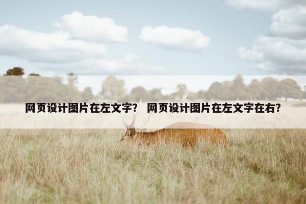 网页设计图片在左文字？ 网页设计图片在左文字在右？