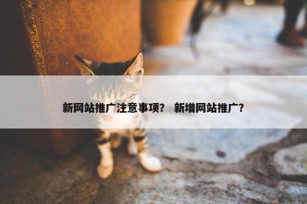 新网站推广注意事项？ 新增网站推广？