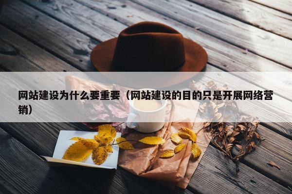 网站建设为什么要重要（网站建设的目的只是开展网络营销）